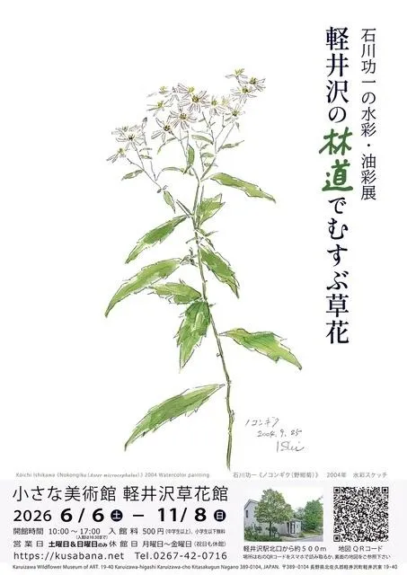 石川功一の水彩・油彩展　軽井沢の林道でむすぶ草花_1