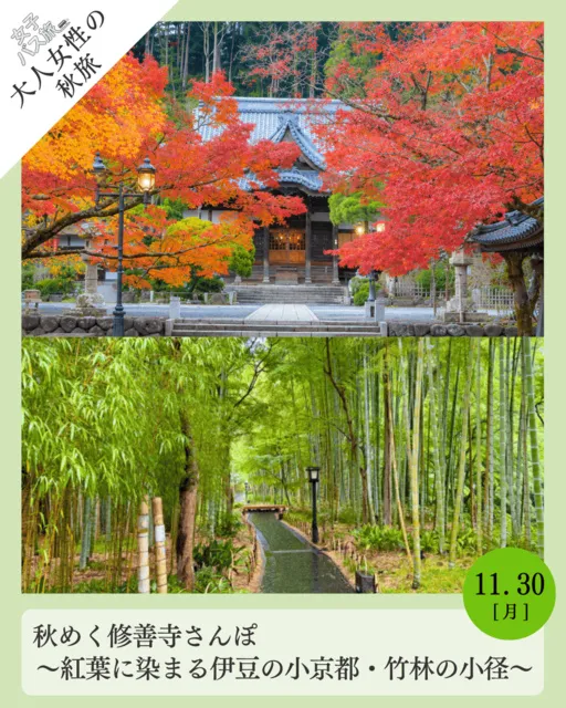 大人女性の秋旅 秋めく修善寺さんぽ 紅葉に染まる伊豆の小京都・竹林の小径