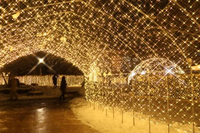 もりおかイルミネーションブライト