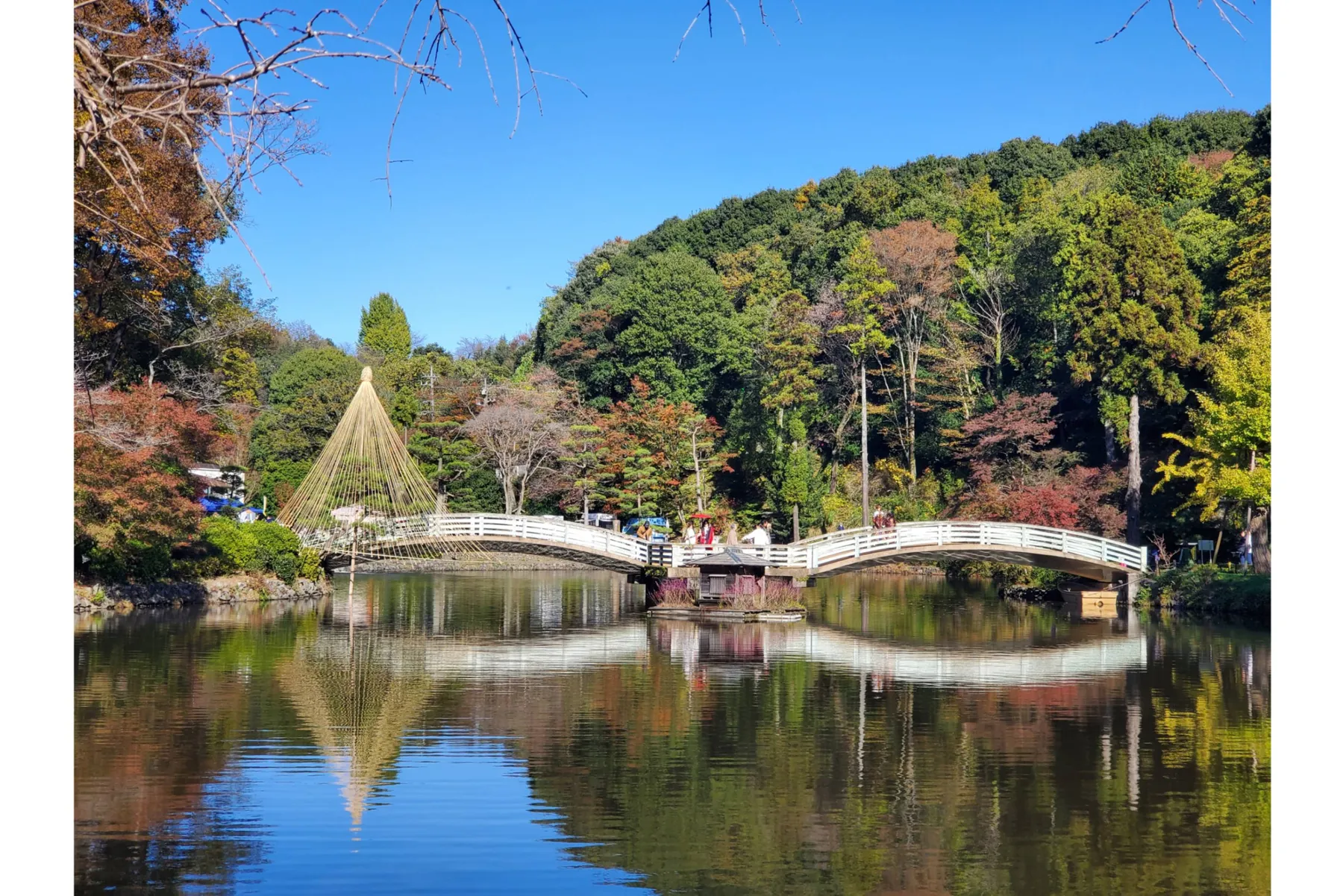 薬師池 紅葉まつり_3