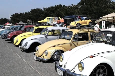 SURF VEHICLES SHOW