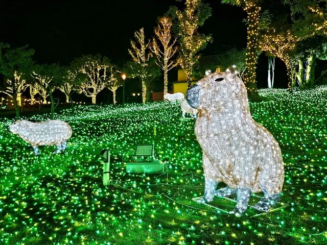 イルミネーション　ハーベストの丘　Wonder Night Hill 2025