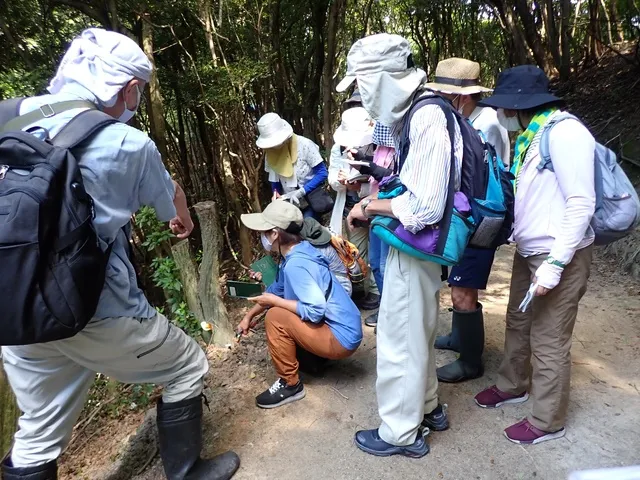 キノコ・苔観察会