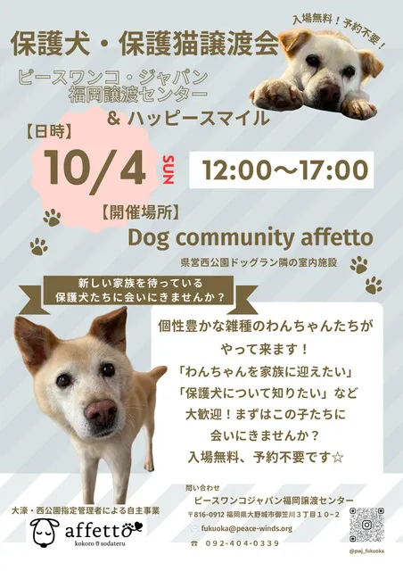 保護犬・保護猫譲渡会