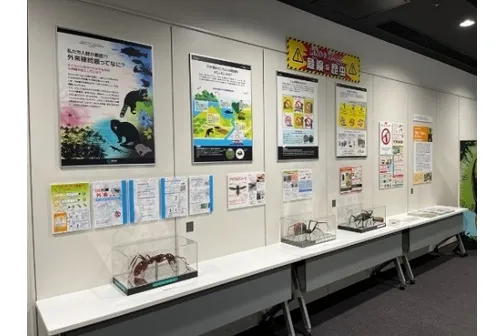 大昆虫展in東京スカイツリータウン (R)～昆虫と地球とみんなのみらい～_7