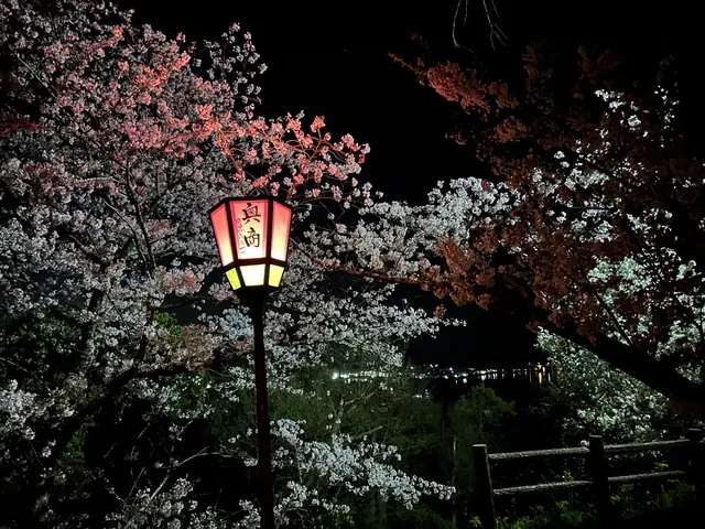 古城山公園のぼんぼり