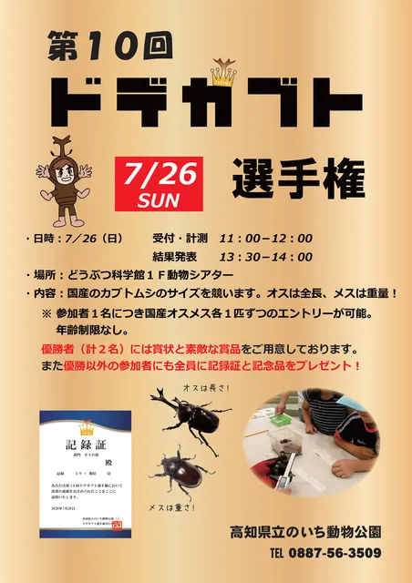 第10回ドデカブト選手権