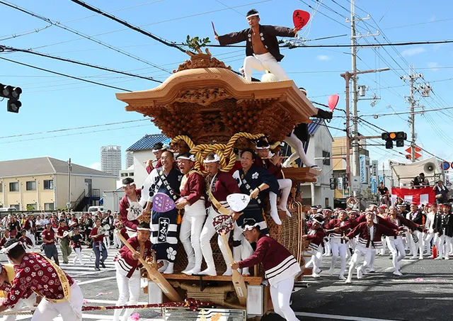 泉大津だんじり祭