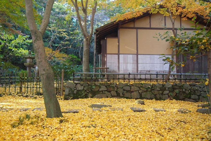 紅葉に彩ろられた田舎家 【公式通販】