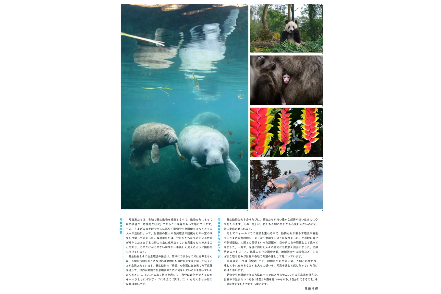 フジフイルム スクエア 企画写真展 希望（HOPE）～みんなで考える動物の未来～_3