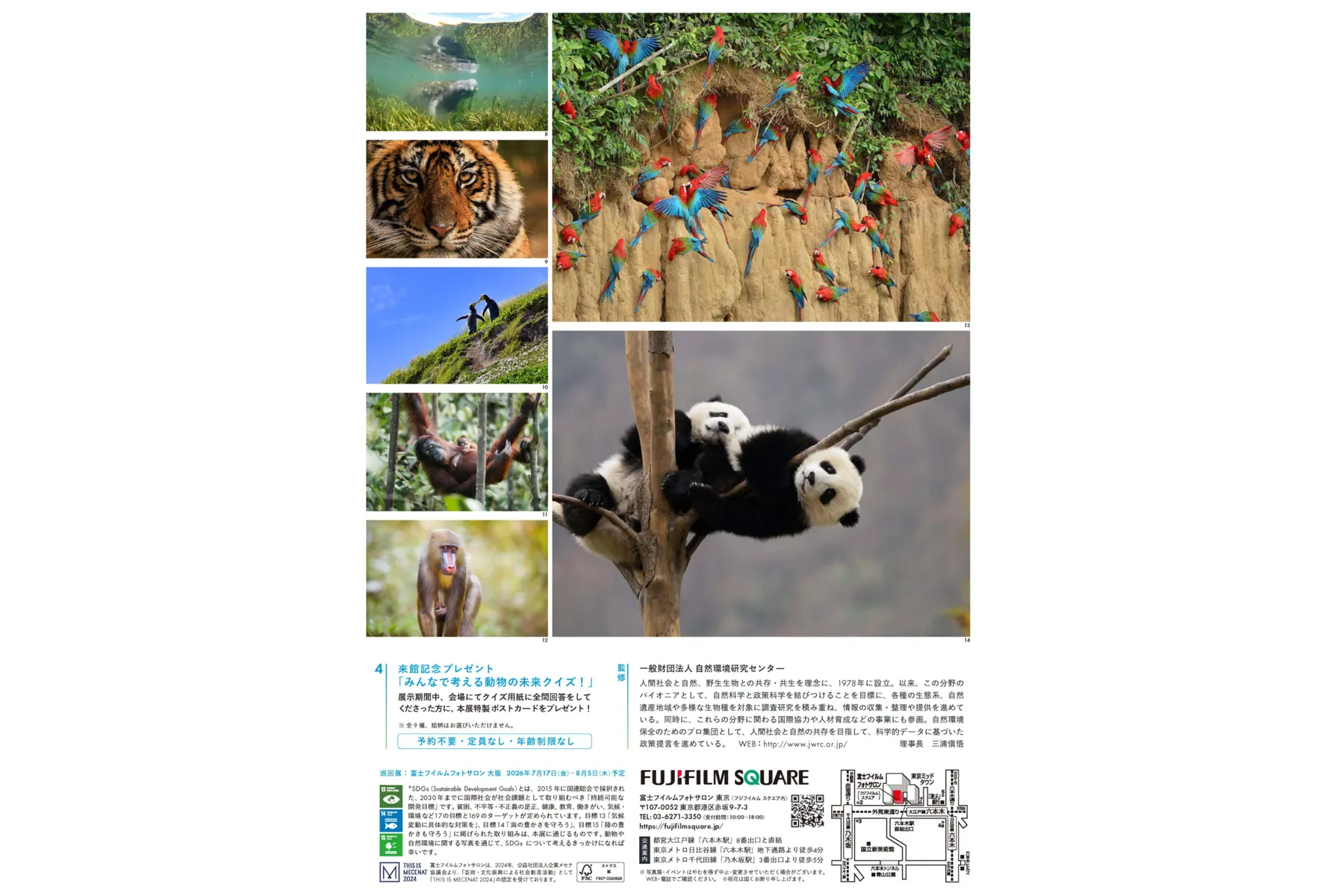 フジフイルム スクエア 企画写真展 希望（HOPE）～みんなで考える動物の未来～_5
