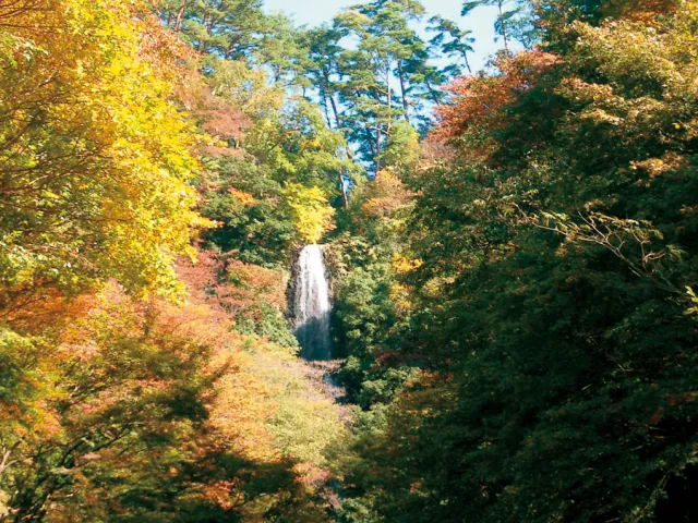 【紅葉・見ごろ】猿尾滝