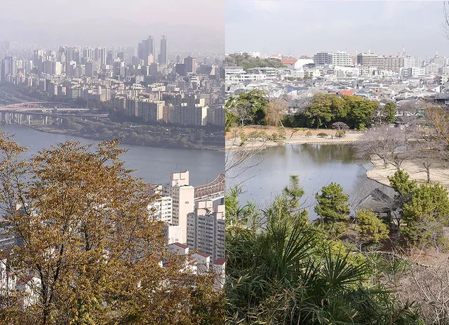 アーティストとひらく　鎌田友介展：ある想像力、ふたつの土地