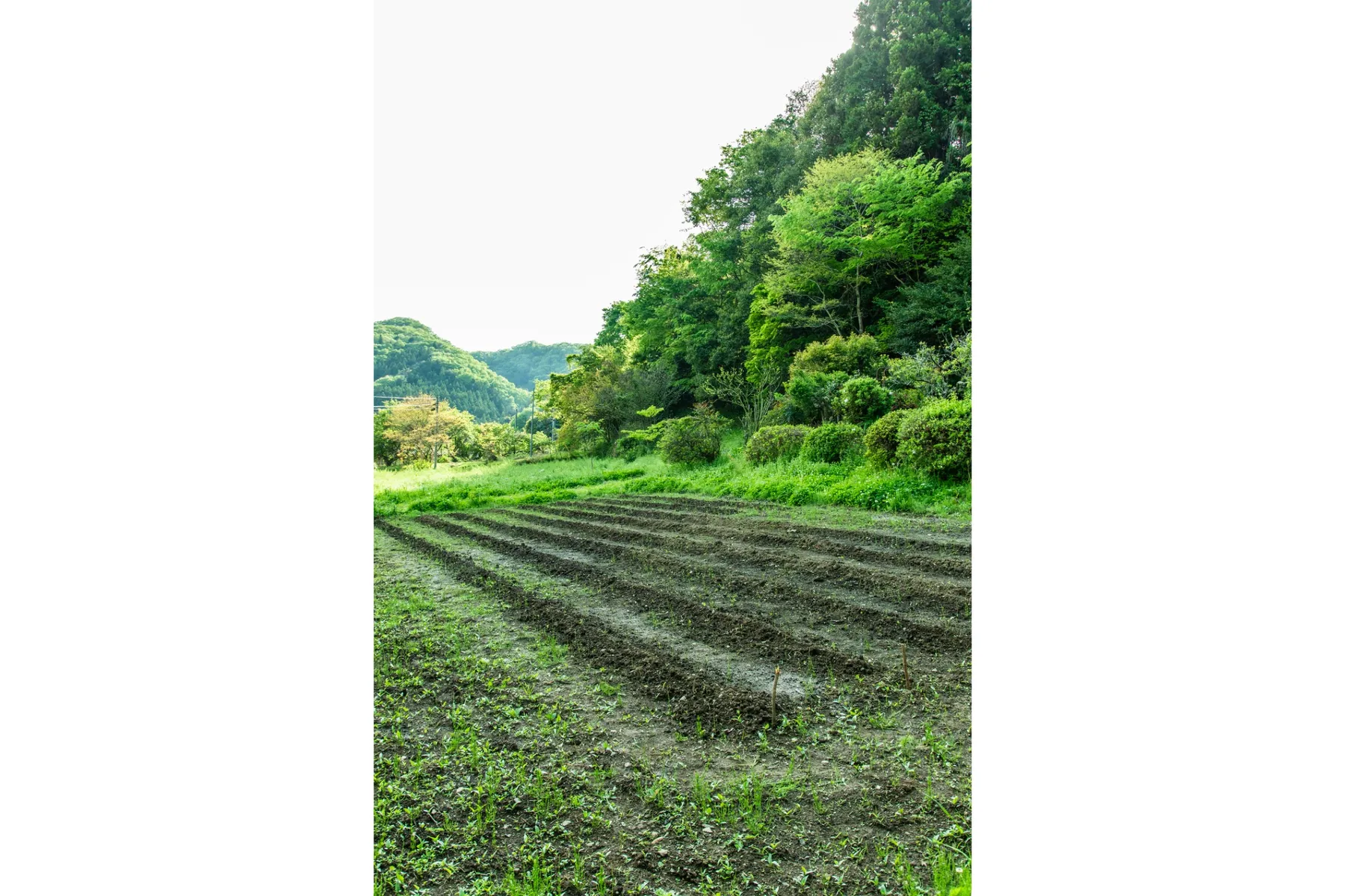 室瀬祐漆芸展「山と雲を渡る」_9