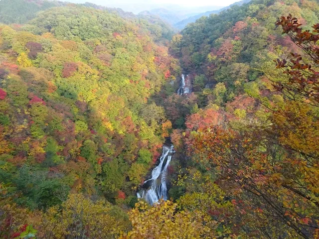 【紅葉・見ごろ】霧降滝