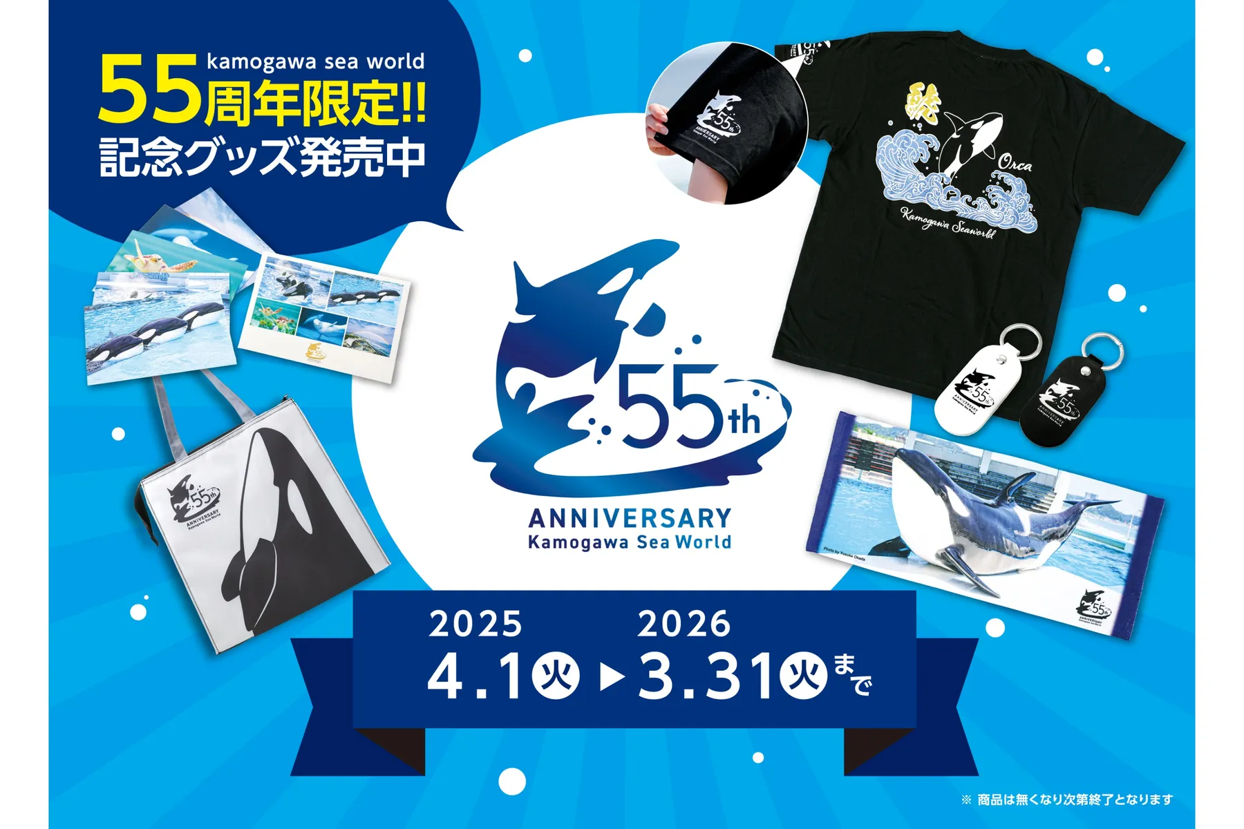 夏期限定シャチの「サマースプラッシュ」_7