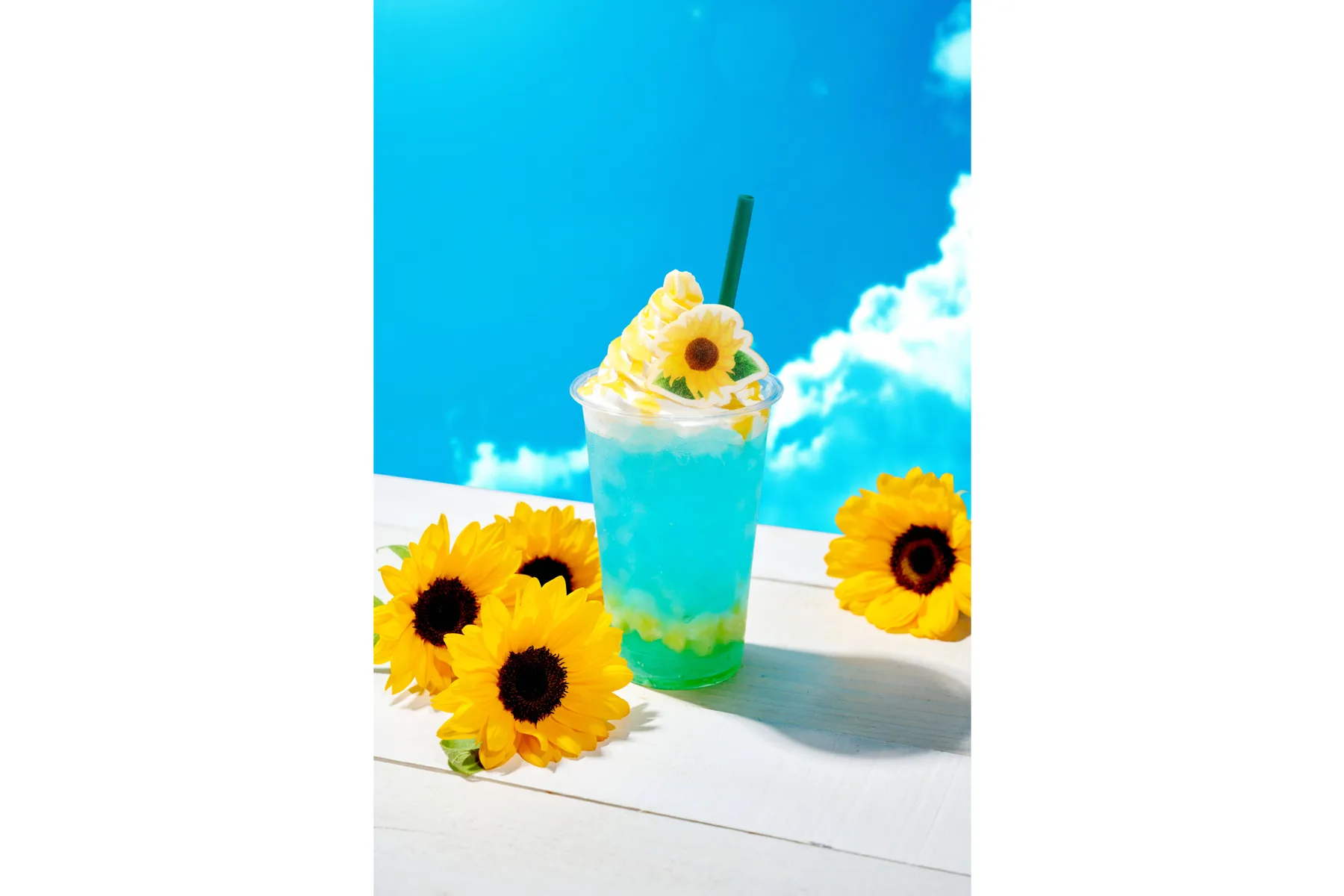 SUNNY SUMMER SKYTREE(R)_4