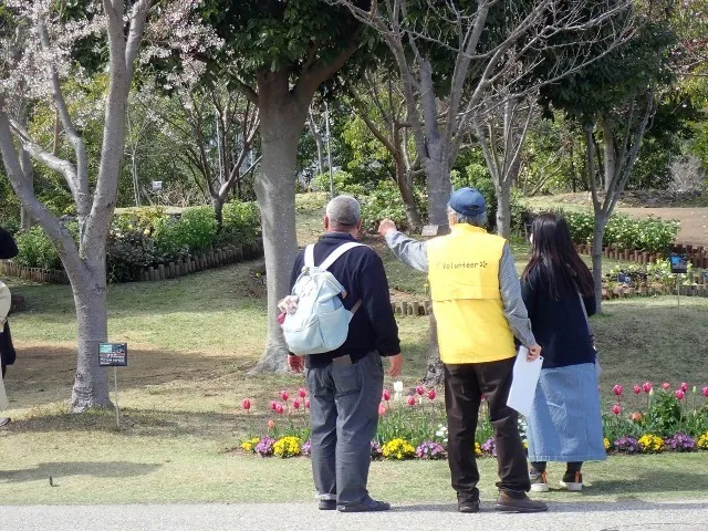 淡路島国営明石海峡公園　公園ボランティアとゆく　フラワーガイドツアー