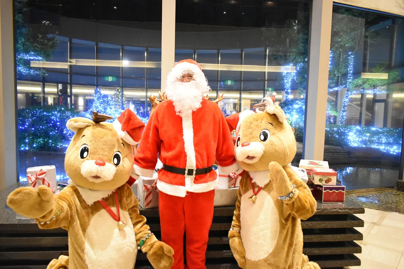 クリスマススペシャルディナービュッフェ【ヒルトン成田】_10