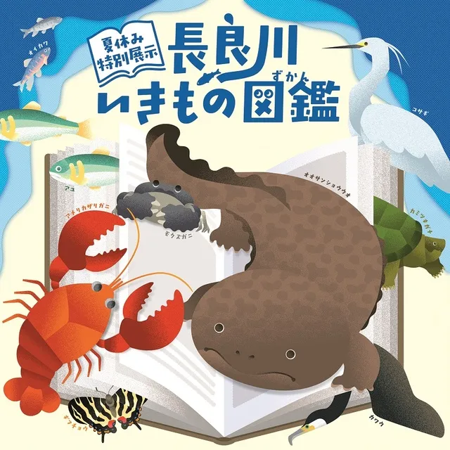 特別展示「長良川いきもの図鑑」