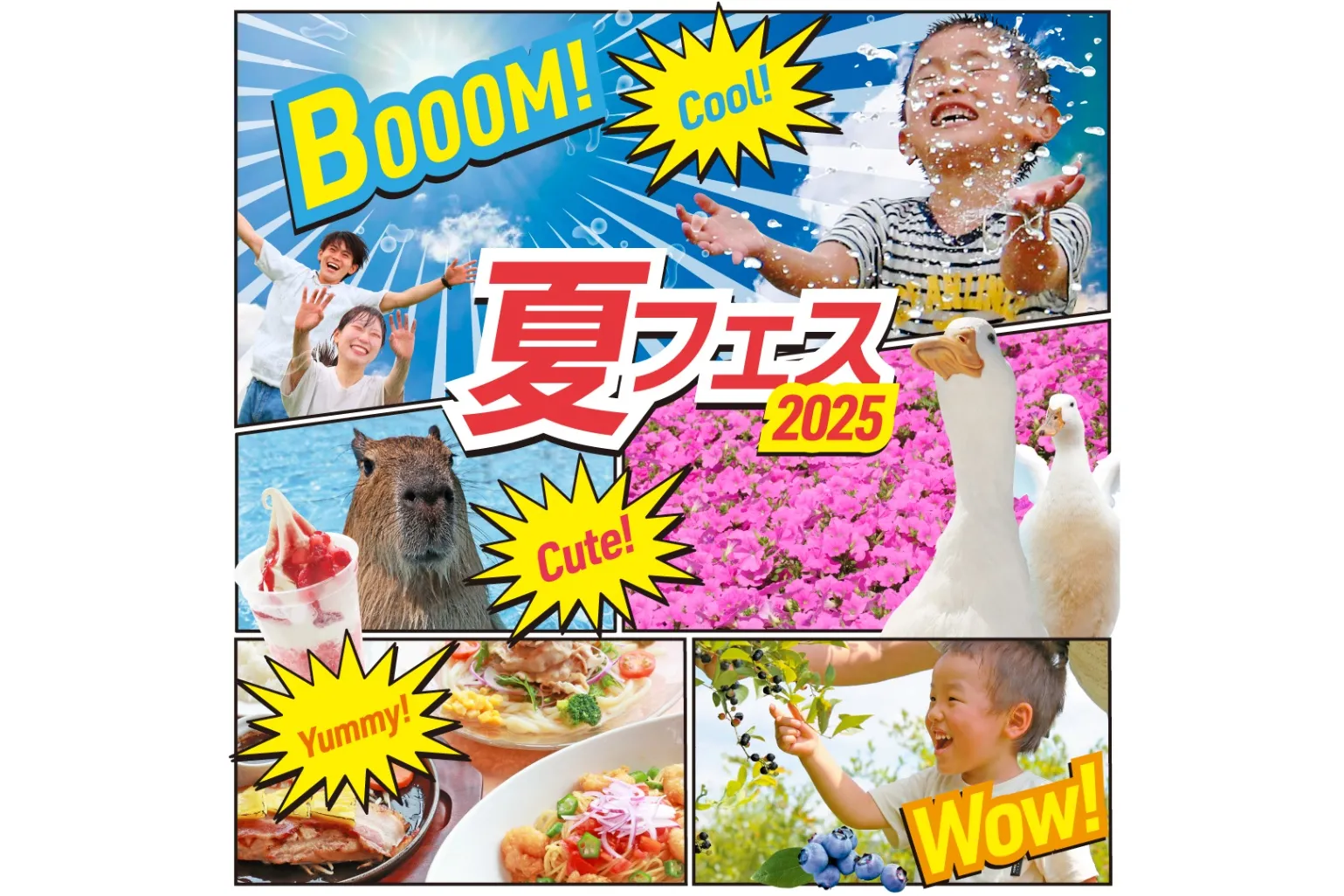 マザー牧場 夏フェス 2025_1