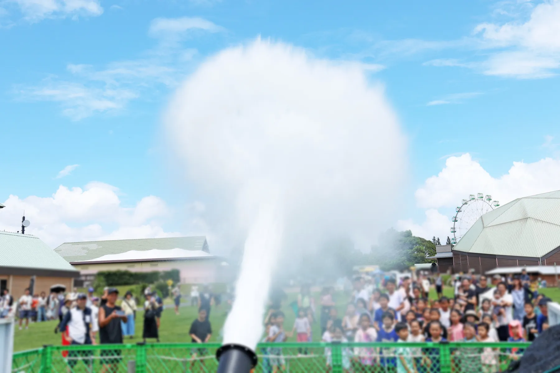 マザー牧場 夏フェス 2025_2