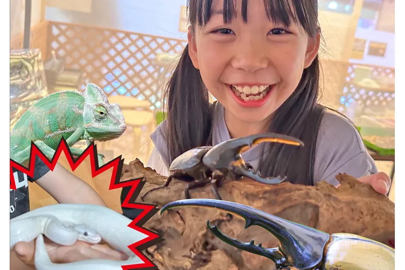 マザー牧場「いきものさわっちゃ王国」