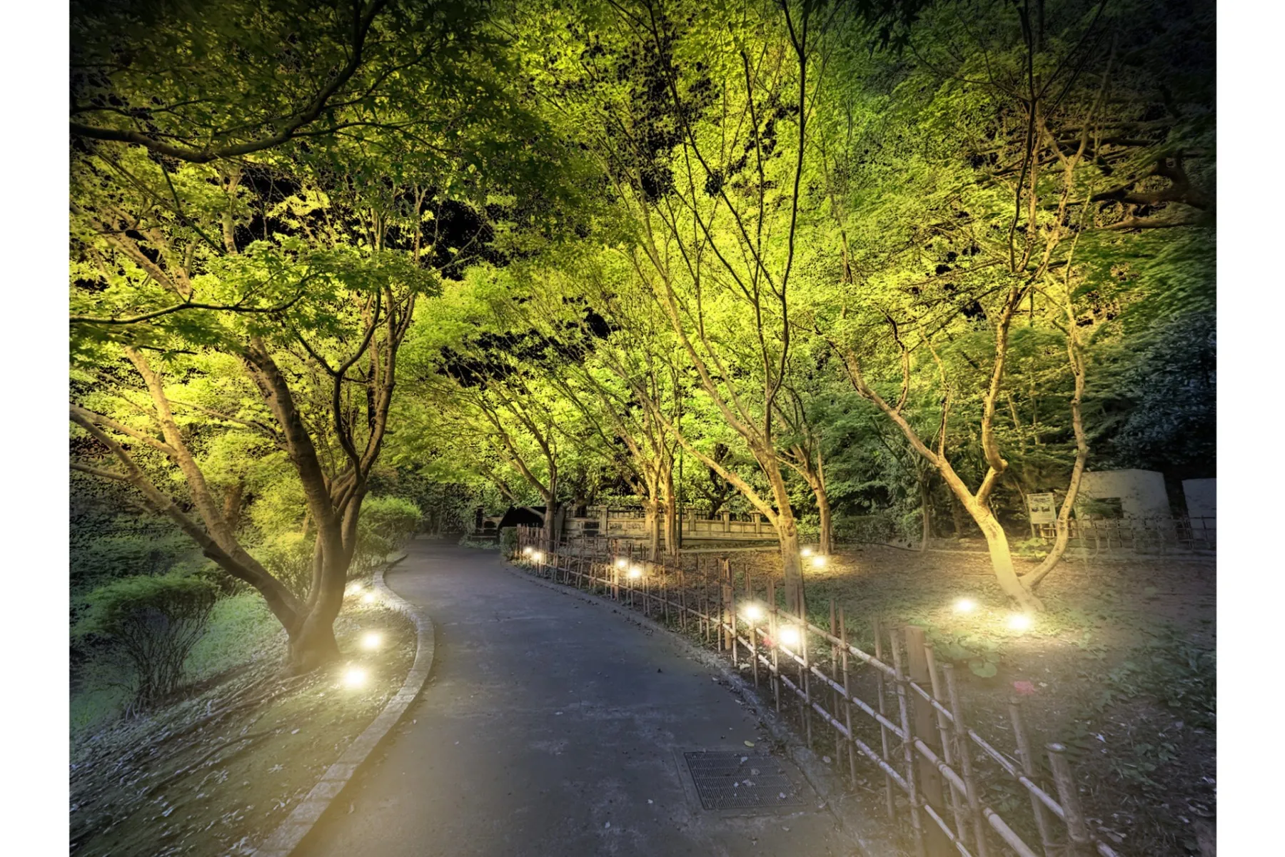 CHRISTMAS Night in 紀尾井町_1