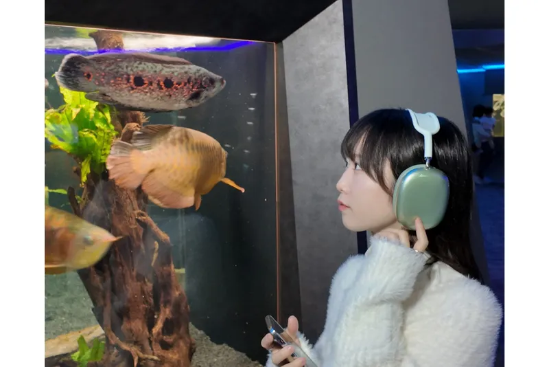 解説をひとり占めいただける音声ガイド