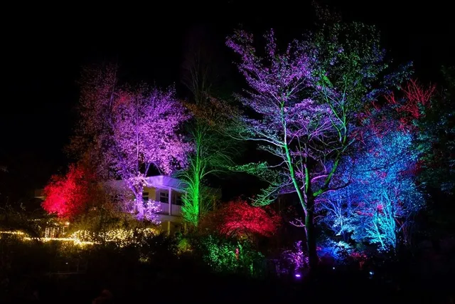 クリスマスライティング「Magical Lighting」