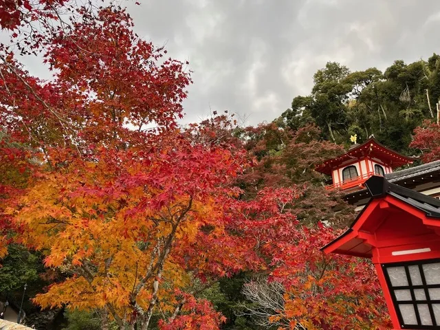 明治の森箕面国定公園もみじまつり2025