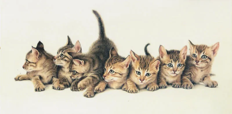 ✴️特別価格【原画】『夢幻界侵入者』（猫　犬　動物　絵画　パステル画　風景画） ✴️特別価格【原画】『夢幻界侵入者』（猫 犬 動物 絵画