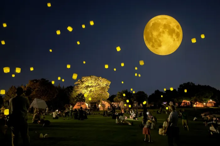 【中古】 お月見のよるには お月見イベント2026