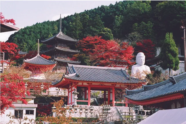 第九回お里澤市ウォーク（盲老人福祉啓発ウオーク） ～明日香から壷阪寺までペアで歩こう!!～