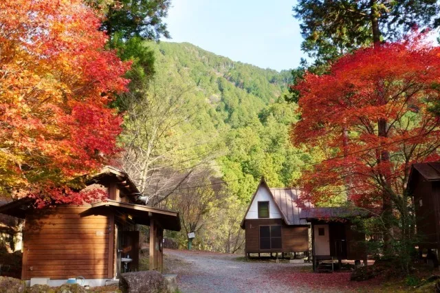 【紅葉・見ごろ】夕森渓谷