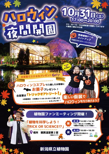 ハロウィン夜間開園