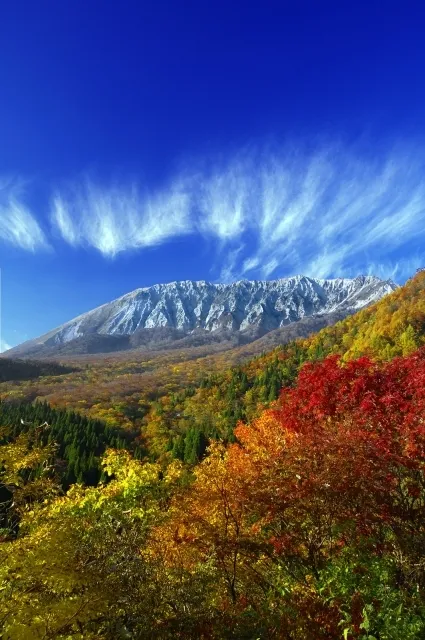 紅葉・見ごろ】奥大山 鍵掛峠