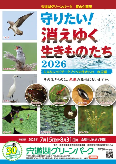 夏の企画展「守りたい！消えゆく生きものたち2026～しまねレッドデータブックの生きもの　水辺編～