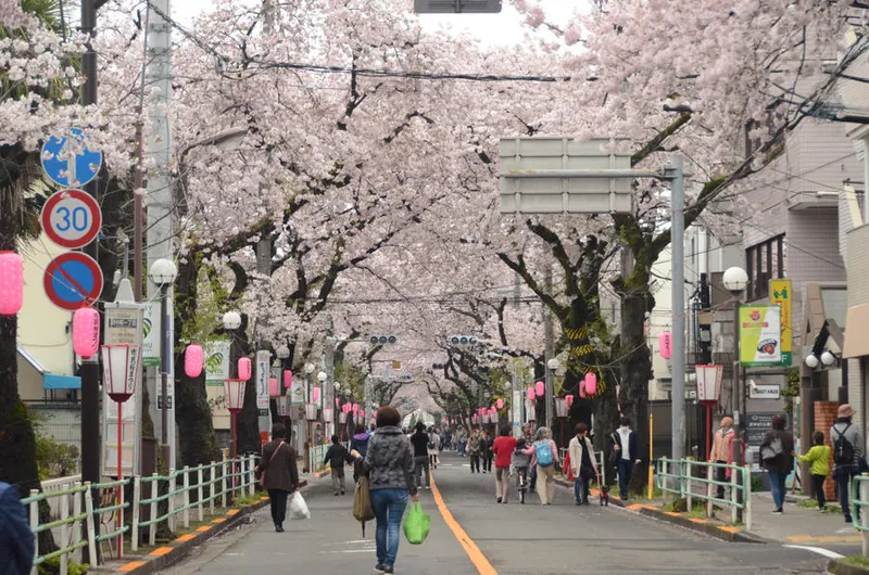 屋台 出店のあるお花見スポット情報22 レッツエンジョイ東京