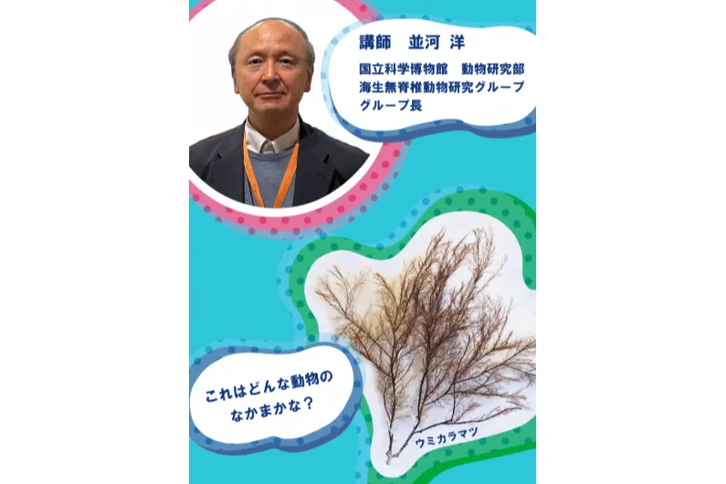 〈夏の企画展〉巡回展　キモかわすごい！海の骨なしどうぶつの世界_2