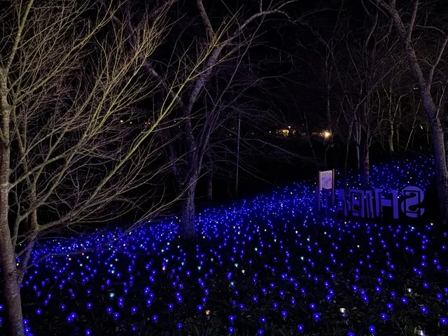 しばたファンタジーイルミネーション2025