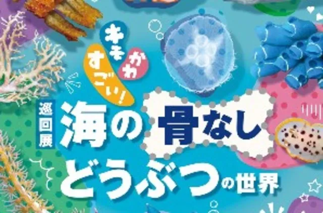 企画展「キモかわすごい！海の骨なしどうぶつの世界」