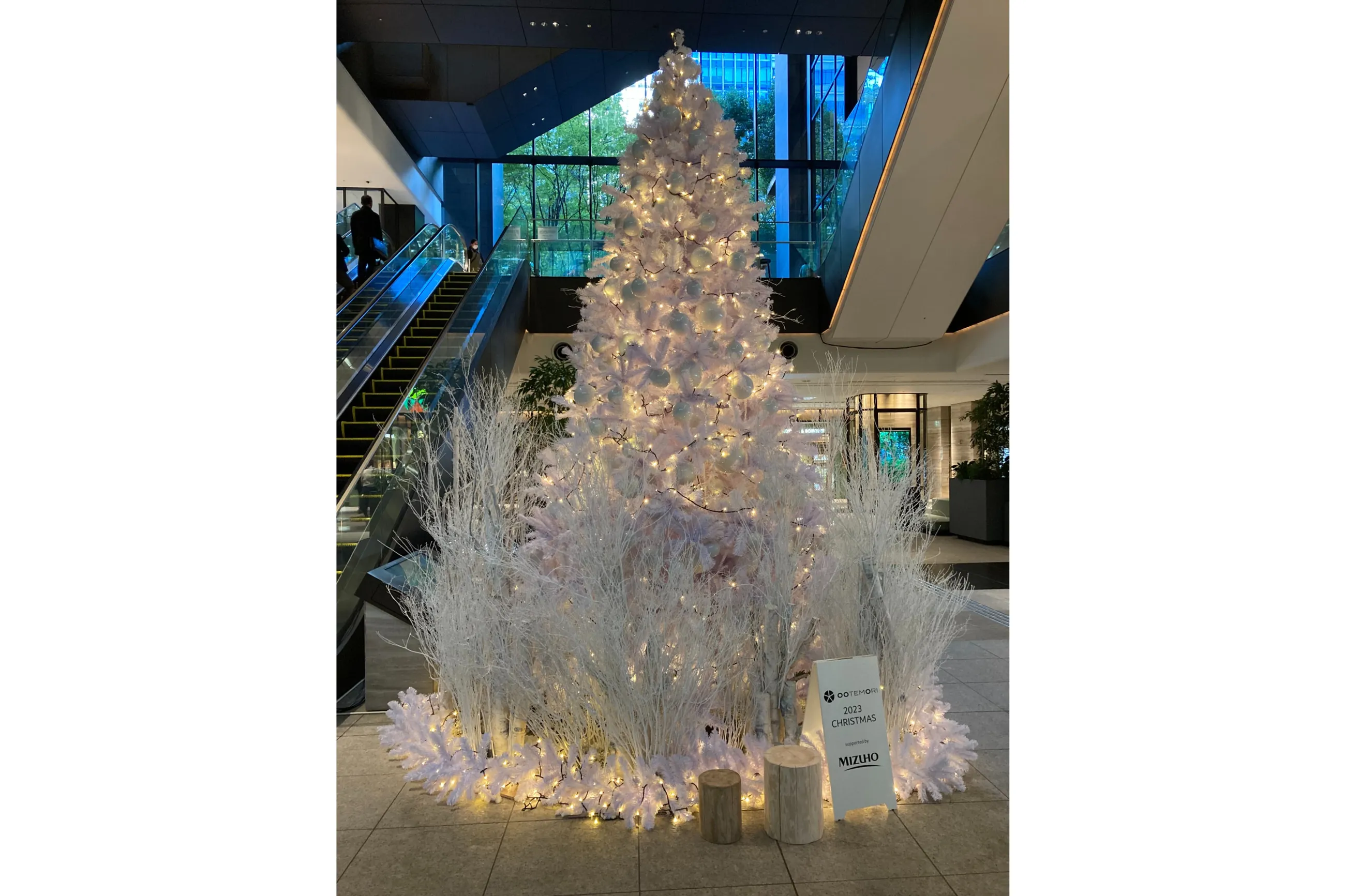 OOTEMORI クリスマスツリー2024