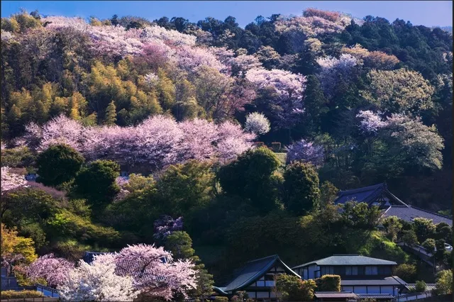 原田寛講演会「鎌倉の四季を写す」