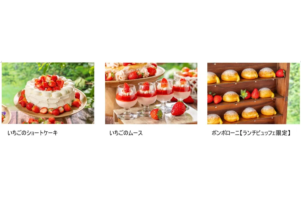 旬のいちごと生パスタを楽しむイタリアンビュッフェ【インターナショナルガーデンホテル成田】_7