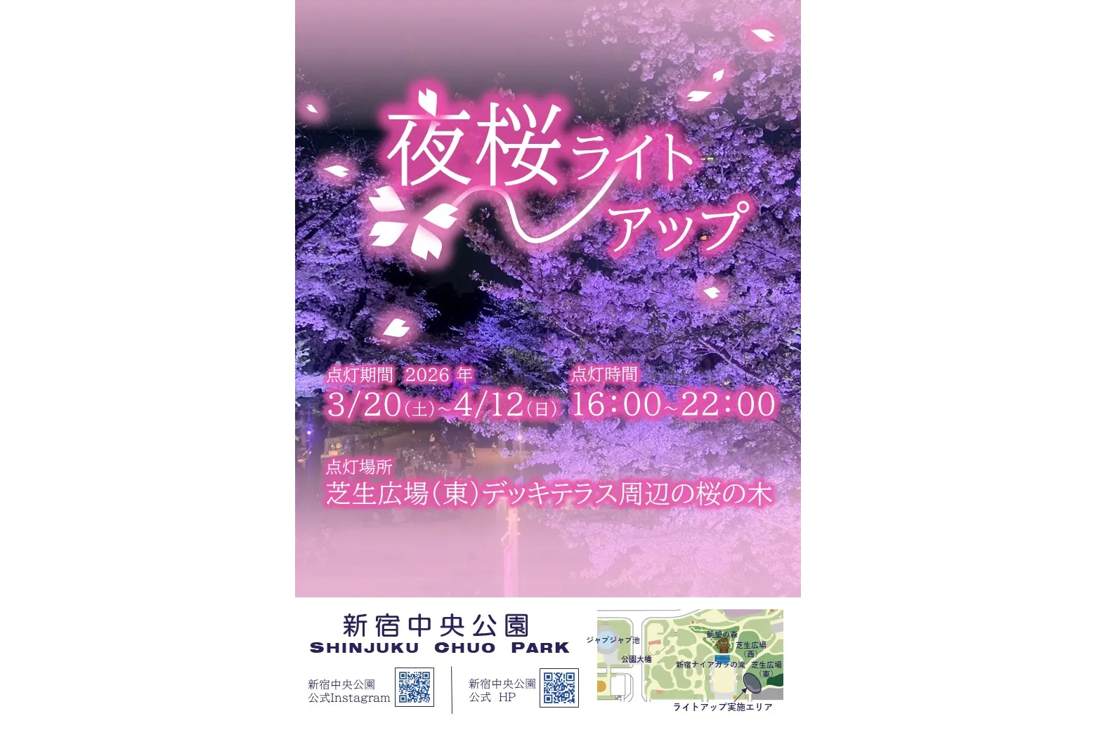 夜桜ライトアップ【新宿中央公園】_1