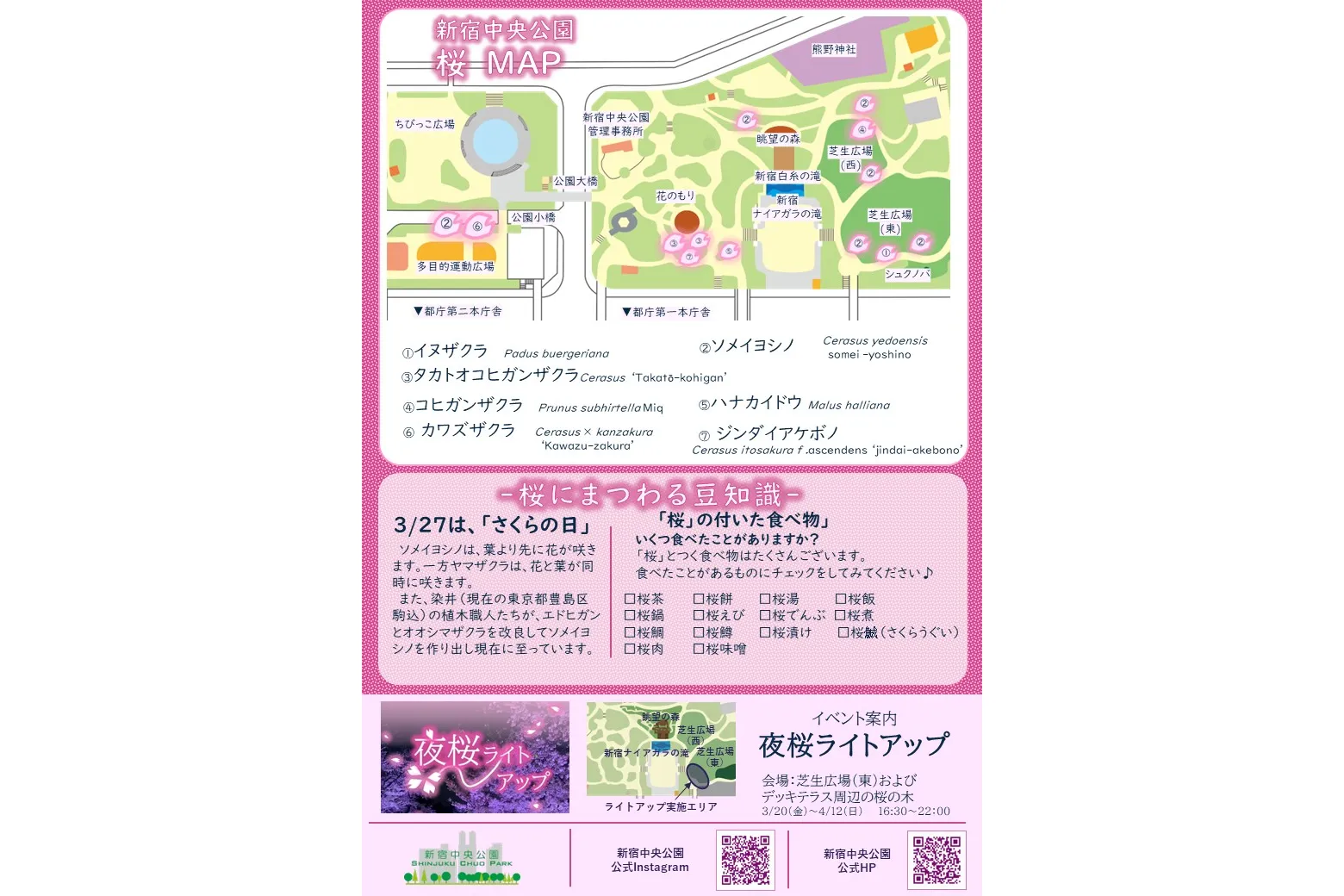 夜桜ライトアップ【新宿中央公園】_8