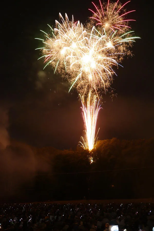 第75回青梅市納涼花火大会_1