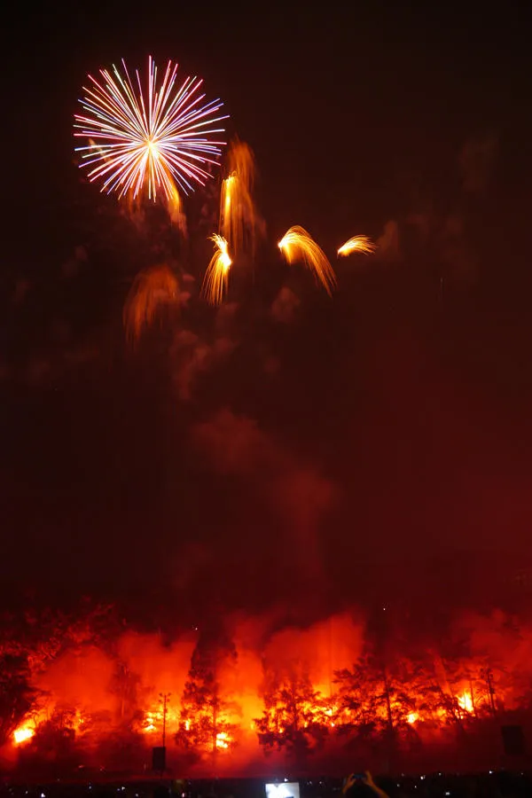 第75回青梅市納涼花火大会_2