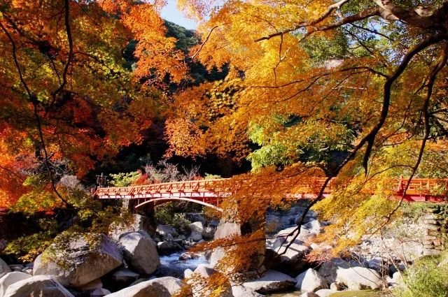 【紅葉・見ごろ】奇絶峡